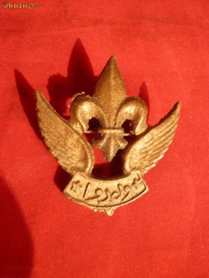 Insigna Araba de Cercetas , alama , 4x3,6 cm foto