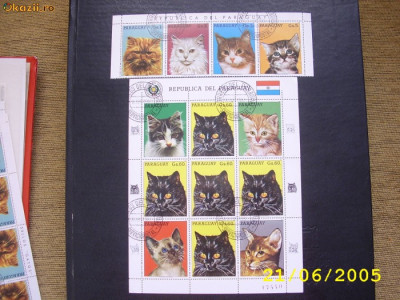 Paraguay 1987 fauna pisici mi 4079-4083 streif + kleib. stampilate foto