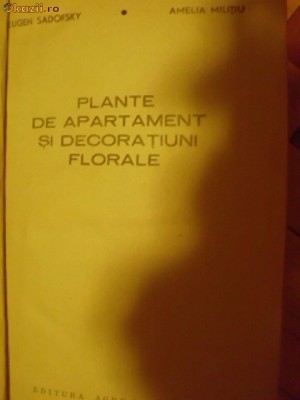 PLANTE DE APARTAMENT SI DECORATIUNI FLORALE foto