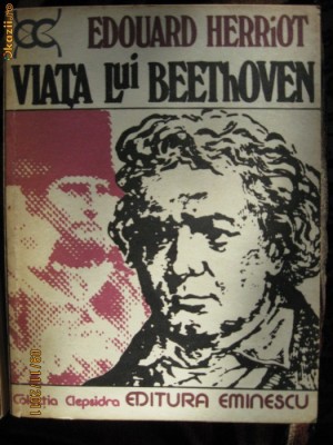 Viata lui Beethoven foto