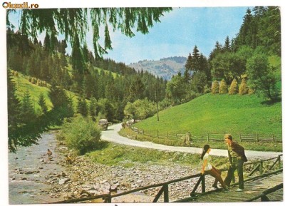 carte postala- ALBA - Valea Ariesului foto