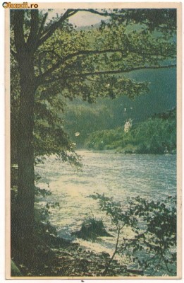 carte postala- VALEA OLTULUI - Vedere foto