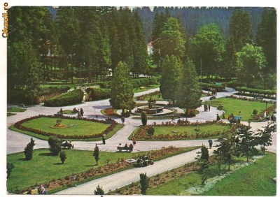 carte postala- BORSEC -Parcul central foto