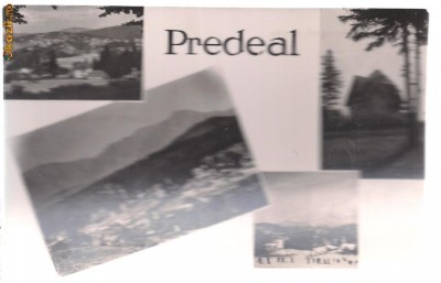 carte postala-PREDAL - Colaj foto