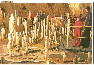 CPI (B319) PESTERA URSILOR ( CHISCAU ), EDITURA PENTRU TURISM - PUBLITURISM, NECIRCULATA, FOTO PUBLITURISM - ION NADRAG foto