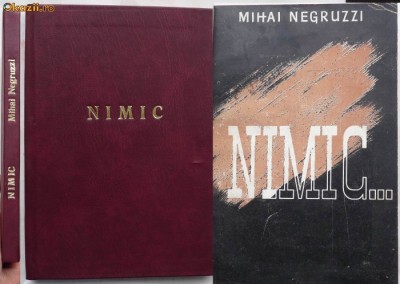 Mihai Negruzzi, Leon M. Negruzzi, Nimic, interbelica, prima editie foto