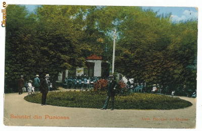 378 - PUCIOASA, Dambovita, Fanfara in parc - old postcard - used - 1916 foto