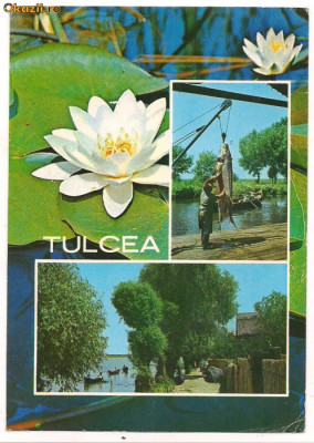 carte postala-TULCEA foto