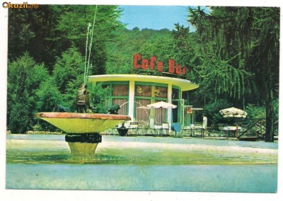 carte postala(ilustrata)-MONEASA-cafe bar foto