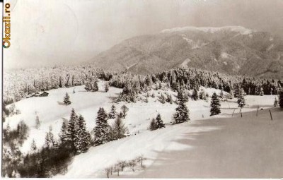 CP 209-24 Predeal. Vedere din Poiana Secuilor -circulata 1967 -starea care se vede foto