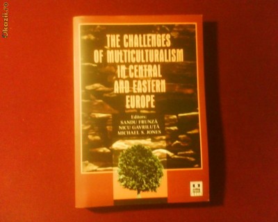 S. Frunza The Challenges of Multiculturalism in Central and eastern Europe foto