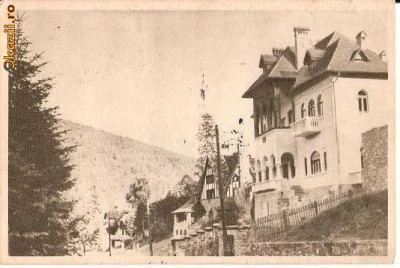 CP 210-22 Sinaia -Vedere -RPR -circulata 1956 -sepia -starea care se vede, timbrele sunt deteriorate -,,Tovarasilor din Comitetul Sindical si Org.baza foto