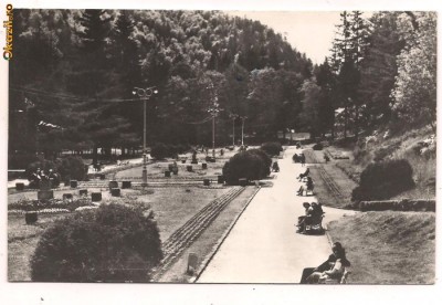 carte postala-SLANIC-MOLDOVA-Parcul foto