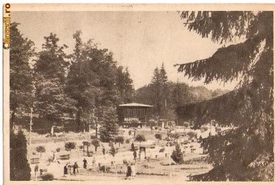 CP 210-23 Sovata -Vedere din parc -RPR -circulata 1956 -sepia -starea care se vede foto