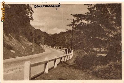 CP 210-14 Calimanesti -Drumul spre Caciulata -RPR -circulata 1957 -sepia -starea care se vede, timbrul este deteriorat foto