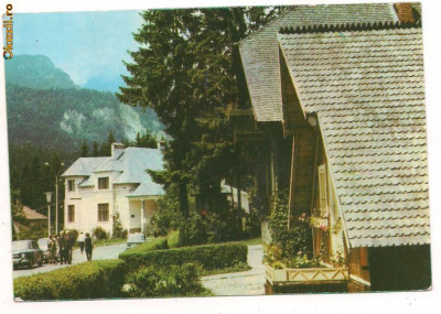 carte postala-SINAIA-Vile pe Cumpatu foto