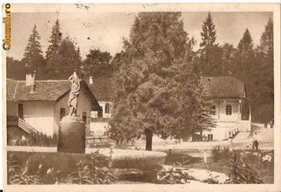 CP 210-02 Borsec -Vedere din parc -RPR -circulata 1956 -sepia -starea care se vede foto