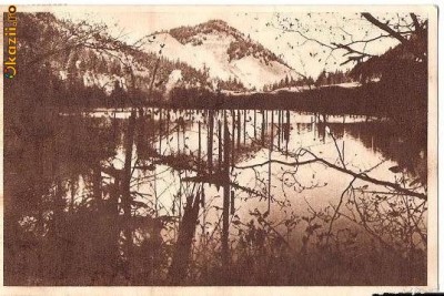 CP 210-36 Lacul Rosu -RPR -sepia -circulata 1951 -starea care se vede, putin roasa la un colt foto