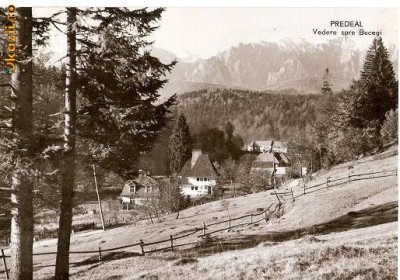 CP 210-41 Predeal -Vedere spre Bucegi -RPR -circulata 1961 -starea care se vede, la un colt, pe spate, are urme de la dezlipirea din album foto