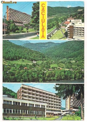 carte postala(ilusrata)-CACIULATA- foto