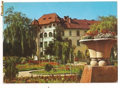 carte postala(ilusrata)-CARANSEBES-Liceul nr.1 foto