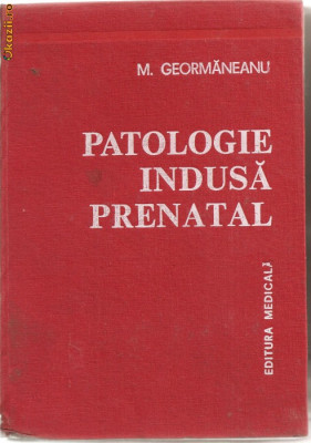 U(C948) PATOLOGIE INDUSA PRENATAL DE M. GEORMANEANU, EDITURA MEDICALA, BUCURESTI, 1978 foto