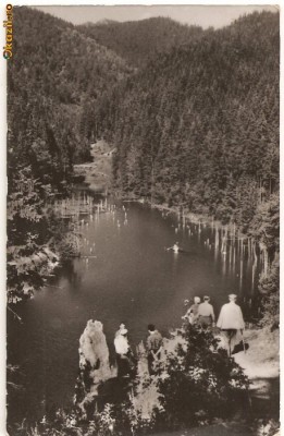 CPI (B465) LACUL ROSU, VEDERE, EDITURA MERIDIANE, CPCS, CIRCULATA, STAMPILA, TIMBRU foto