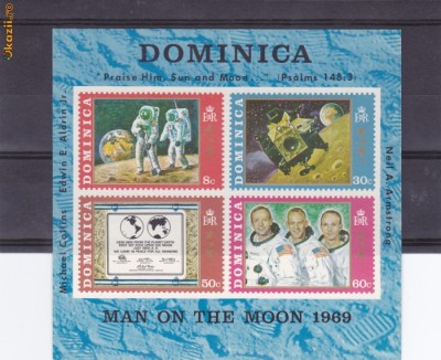 Cosmos Dominica foto