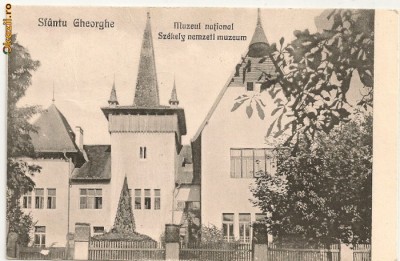 Sfantu Gheorghe - Muzeul national - 1925 foto