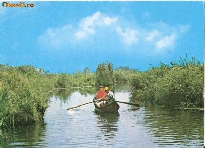 CP 214-04 Vedere din Delta Dunarii -marca fixa -circulata 1981-starea care se vede, putin semi indoita foto