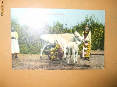 Carte postala port popular costum romanesc femeie vita muls Salutari Romania foto
