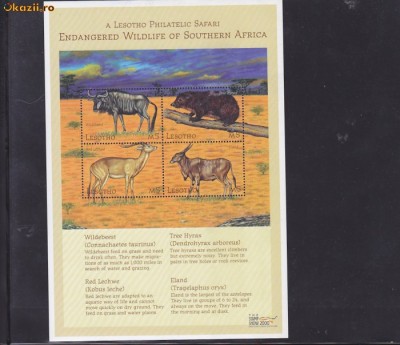 Fauna,Africa de Sud ,Lesotho. foto