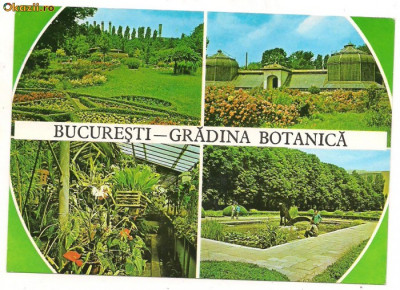 carte postala- BUCURESTI- Gradina botanica foto