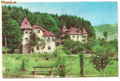 carte postala-SINGEORZ BAI- vile foto