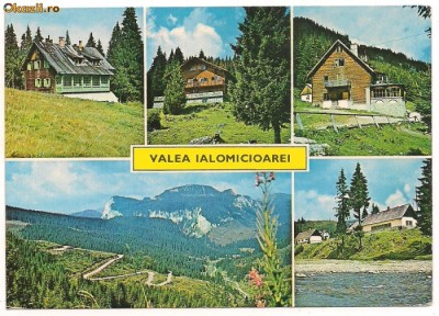 carte postala(ilustrata)-DIMBOVITA-Valea Ialomicioarei foto