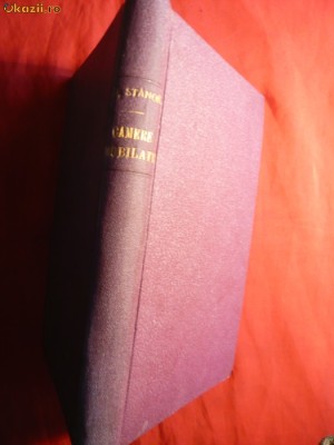 Damian Stanoiu - Camere Mobilate -Prima Ed. 1933 foto