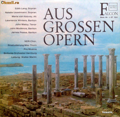 Verdi_Bizet_Wagner_Rossini_Mozart_RimskyKorssakoff - Aus Grossen Opern (Vinyl) foto