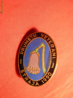 Insigna Drumetii-Veterani-Straja 1990 foto