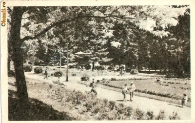 R-640 Romania, slanic Moldova, In parc, marca fixa, circulata foto