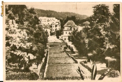 R-1412 Romania, RPR, Govora, Parcul, circulata foto