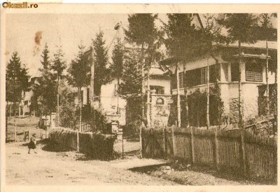 R-10020 Romania, RPR, Poiana Tapului, Case de odihna, circulata, foto