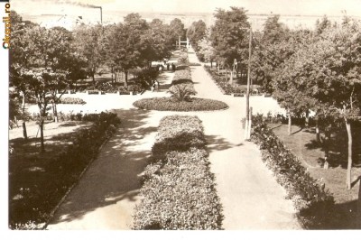 R-9981 Romania, RPR, Vasile Roaita, vedere din parc, circulata foto