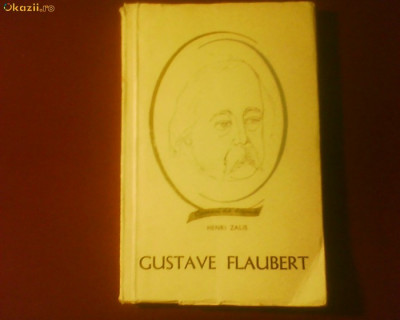 Henri Zalis Gustave Flaubert foto