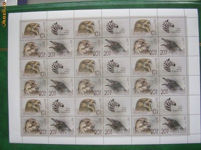 Rusia 1990 fauna pasari mi 6079-6081 coala de 9 serii foto