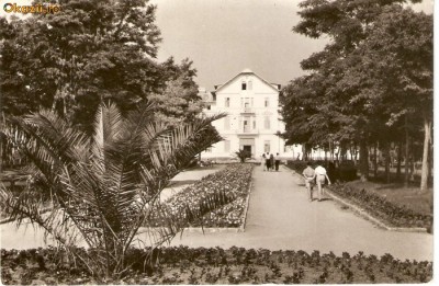 R-9980 Romania, RPR, Vasile Roaita, vedere din parc, circulata foto