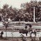 S 4923 BACAU vedere DIN PARC CIRCULATA