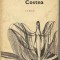 Mihail Sadoveanu - Cazul Eugenitei costea