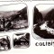 S-10507 COLIBITA NECIRCULAT