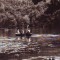 S-5040 BAIA SPRIE Lacul Bodi CIRCULAT 1966