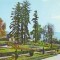 S-1192 ZALAU Gradina botanica CIRCULAT 1974
